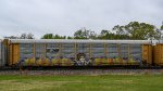 TTGX 974635